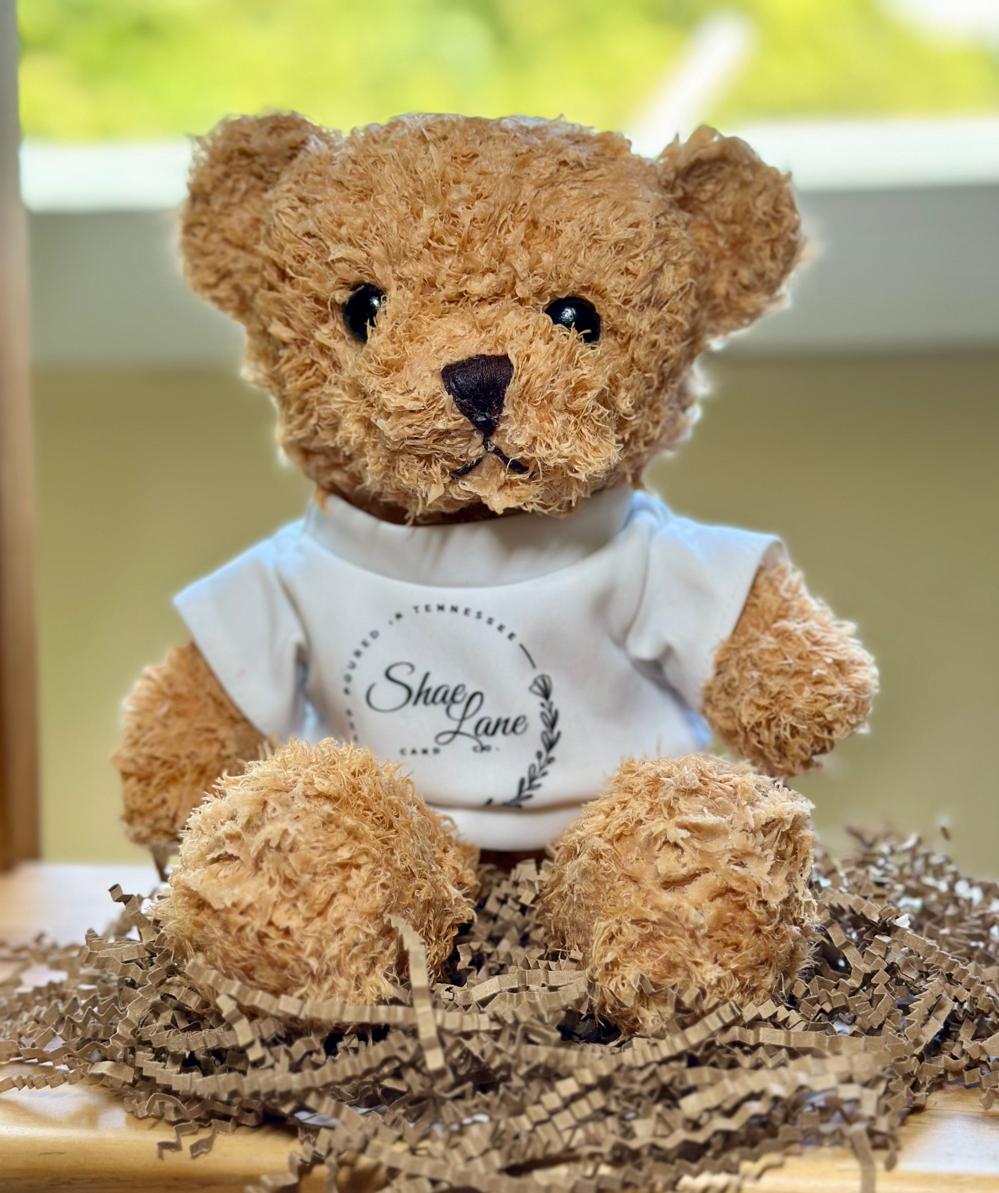 Scented wax dipped teddy bears online